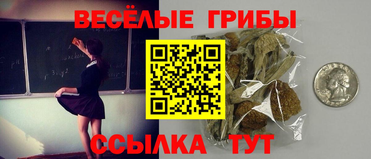 Псилоцибиновые грибы Psilocybine cubensis  Галлюциногенные грибы мухоморы  Вход с VPN  Шатура 